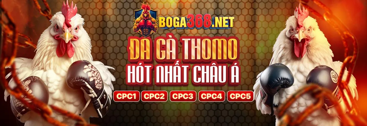 Đá gà trực tuyến kịch tính tại vn16 Nổ Hũ